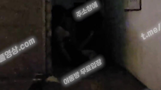 3894 진성 네토 페트리온 길거리 만취녀 텔레 UB892