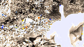 ANTIQUE FUCK ORGASM IN TEH WOODS