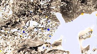 ANTIQUE FUCK ORGASM IN TEH WOODS