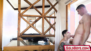 Wolf cock slid out of Bastians fucked hole