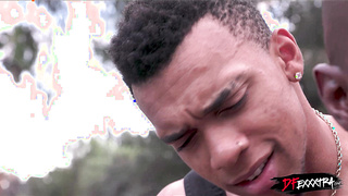 Mr Tile, please come in the house?