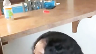 Ebony Teen Sucking BBC