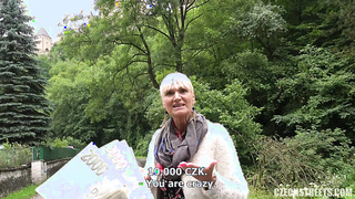 Czech Streets 113 Tour guide from Karlstejn