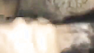 Arab Girl Asra From Agra Has Sex