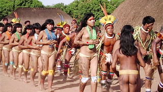 INDIOS, INDIGENAS, NATIVOS, INDIANS, INDIGENOUS, NATIVES