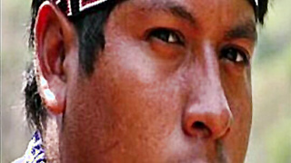 INDIOS, INDIGENAS, NATIVOS, INDIANS, INDIGENOUS, NATIVES