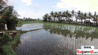 Amateur Thai hottie licked and fucked