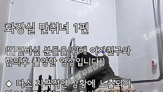 4903 (썰 포함) 진성 네토 패트리온 화장실 만취녀 1-1편 텔레 USB74