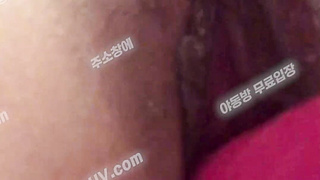 4979 hayang OnlyFans 온리팬스 하양이 육덕 딜도 자위 텔레 USB74