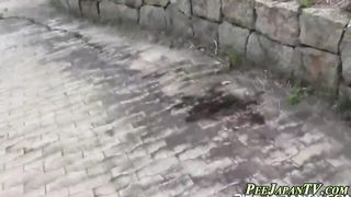 Japanese honies cower to urinate