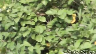 Japanese honies cower to urinate