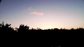 Julia Boin Meaty Funbags Onanism