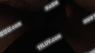 5005 hayang OnlyFans 온리팬스 하양이 이불 속 진동기 자위 텔레 USB74