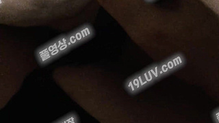 5005 hayang OnlyFans 온리팬스 하양이 이불 속 진동기 자위 텔레 USB74