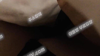 5005 hayang OnlyFans 온리팬스 하양이 이불 속 진동기 자위 텔레 USB74