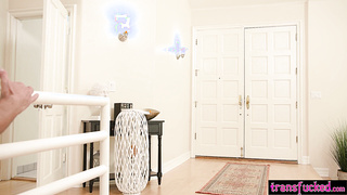 Kinky lap dance by horny shemale slut