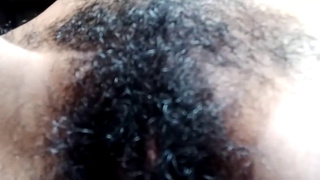 srilankan hairy pusy play