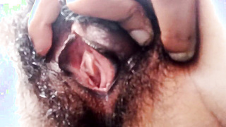 srilankan hairy pusy play