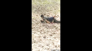 Desi Indian girl enjoy with her telegram channel : desivid5