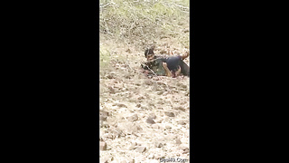 Desi Indian girl enjoy with her telegram channel : desivid5