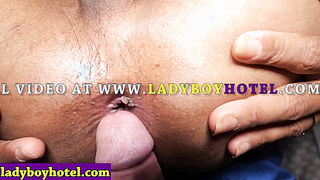 Perfect blowjob and anal sex by tranny