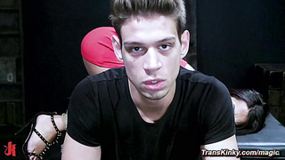 Shemale exposed ass flogged and fucked