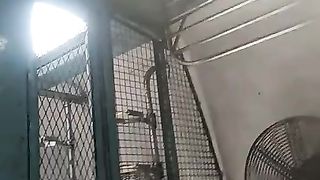 Salami show to Desi sweetie. In teach