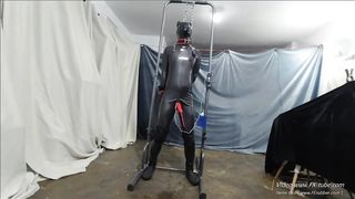 Protection Pup Training（TW: MK_lxzentai）