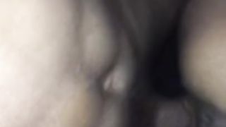 Slender Japanese Arab & Dark Flesh Puerto Rican Gobbling Snatch & Romps me