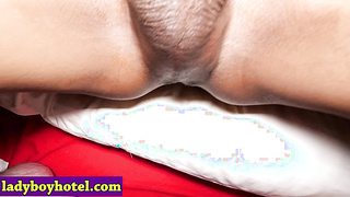 Slender Asian ladyboy hardcore anal sex