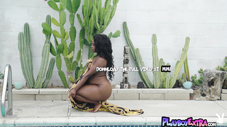 BBW ebony Aziza exposes her big boobs