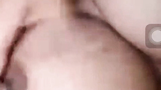 Selvikallaoll