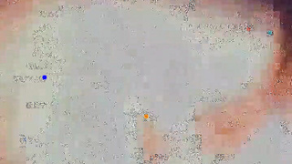 Vavuniya selvi priya ammu