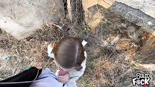 NO CORONAVIRUS IN THE FOREST