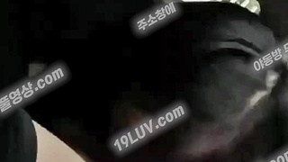 5338 차 간단 사까시 Korean 텔레 UBE892