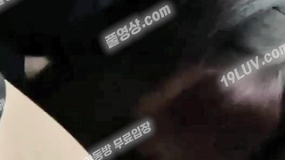 5338 차 간단 사까시 Korean 텔레 UBE892