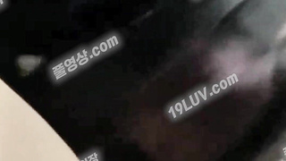 5338 차 간단 사까시 Korean 텔레 UBE892