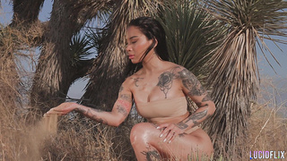 LUCIDFLIX Earth with Honey Gold