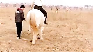 The Hostess is Railing in the Nasty, and Abasing her Victim