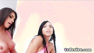 TS Girl Yasmim Dornelles Wants Anal With A TS Girl