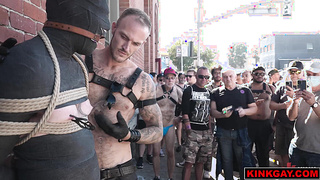 Buck is led by Christian around on a leash