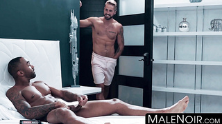 MaleNoir.com - Remy Cruze gets BBC sucked before fucking inked white boy raw