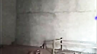 Indian Girl Kissing and Fucking