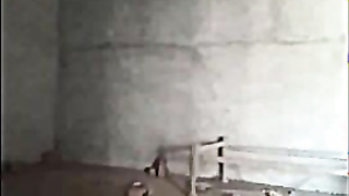 Lankan girl Shows her Boobs and pussy Fucking