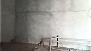 Lankan girl Shows her Boobs and pussy Fucking