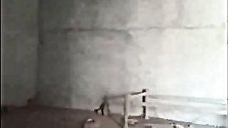 Horny Indian Girl Fucking Part 2