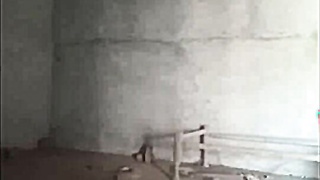 Cute Indian Girl Fucking 2