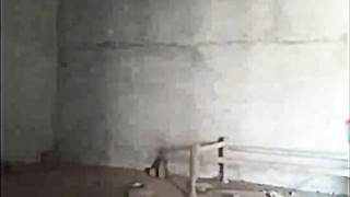 Cute Indian Girl Fucking 2