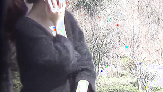 NipponSexTV.com - Mesmerizing Asian babes flashing pussies on [censored]