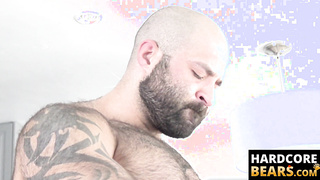 HardcoreBears.com - Muscle stud Atlas Grant banging older guy passionately in the kitchen
